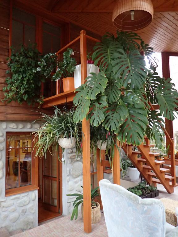 Family House - Apartmany Zuzana Stará Lesná الغرفة الصورة